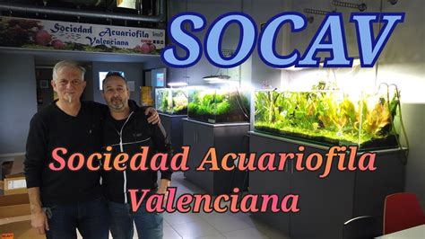 Sociedad Acuariofia Valenciana